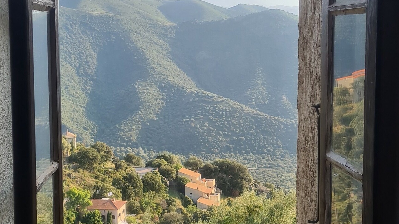 Photo of Others in Lama