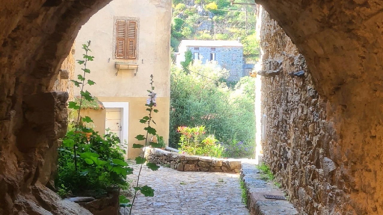 Photo of Patio Balcony in Lama