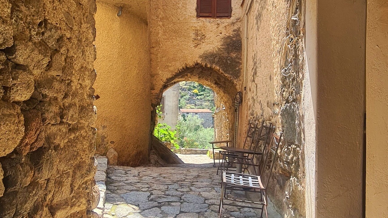Photo of Others in Lama