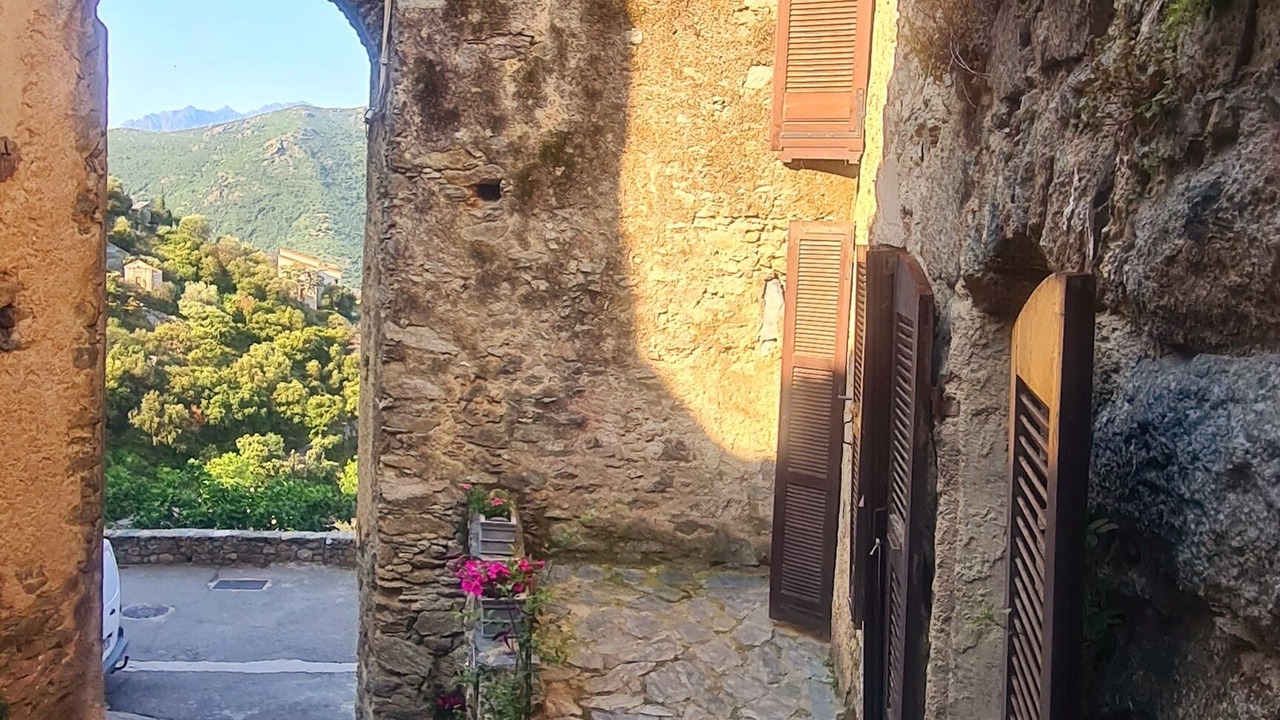 Photo of Outdoor in Lama