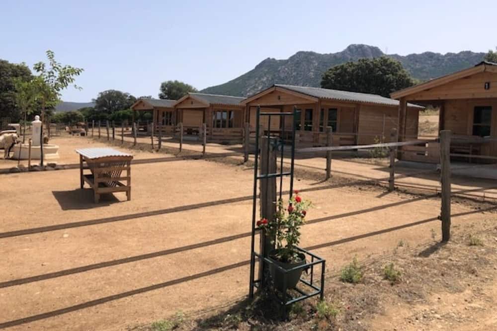 Photo of Outdoor in Occhiatana