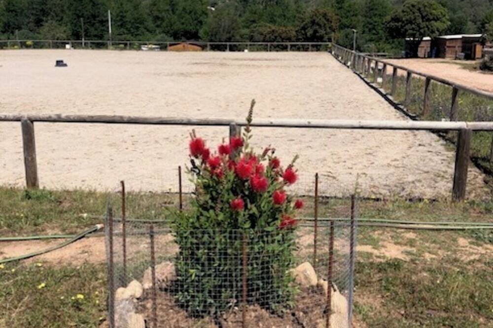 Photo of Outdoor in Occhiatana