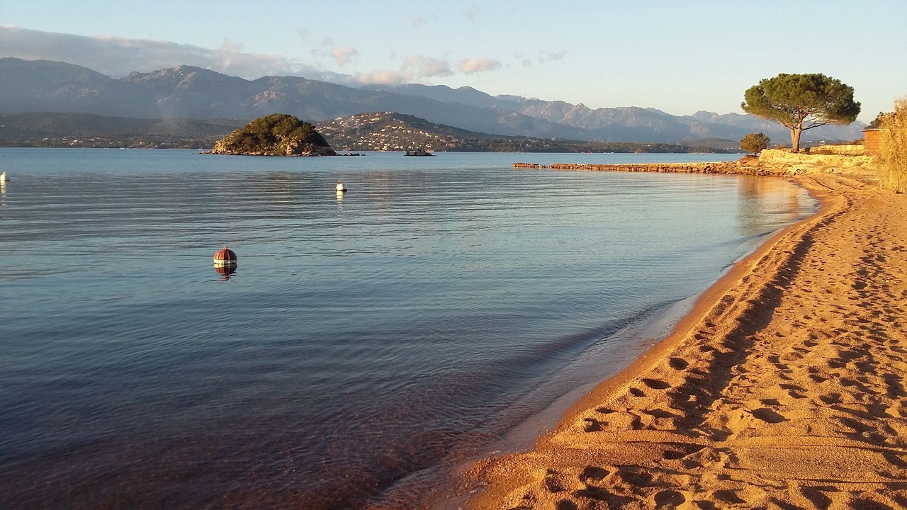 Photo of Others in Porto-Vecchio