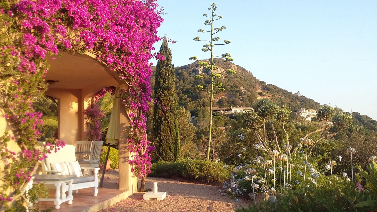 Photo of Outdoor in Porto-Vecchio