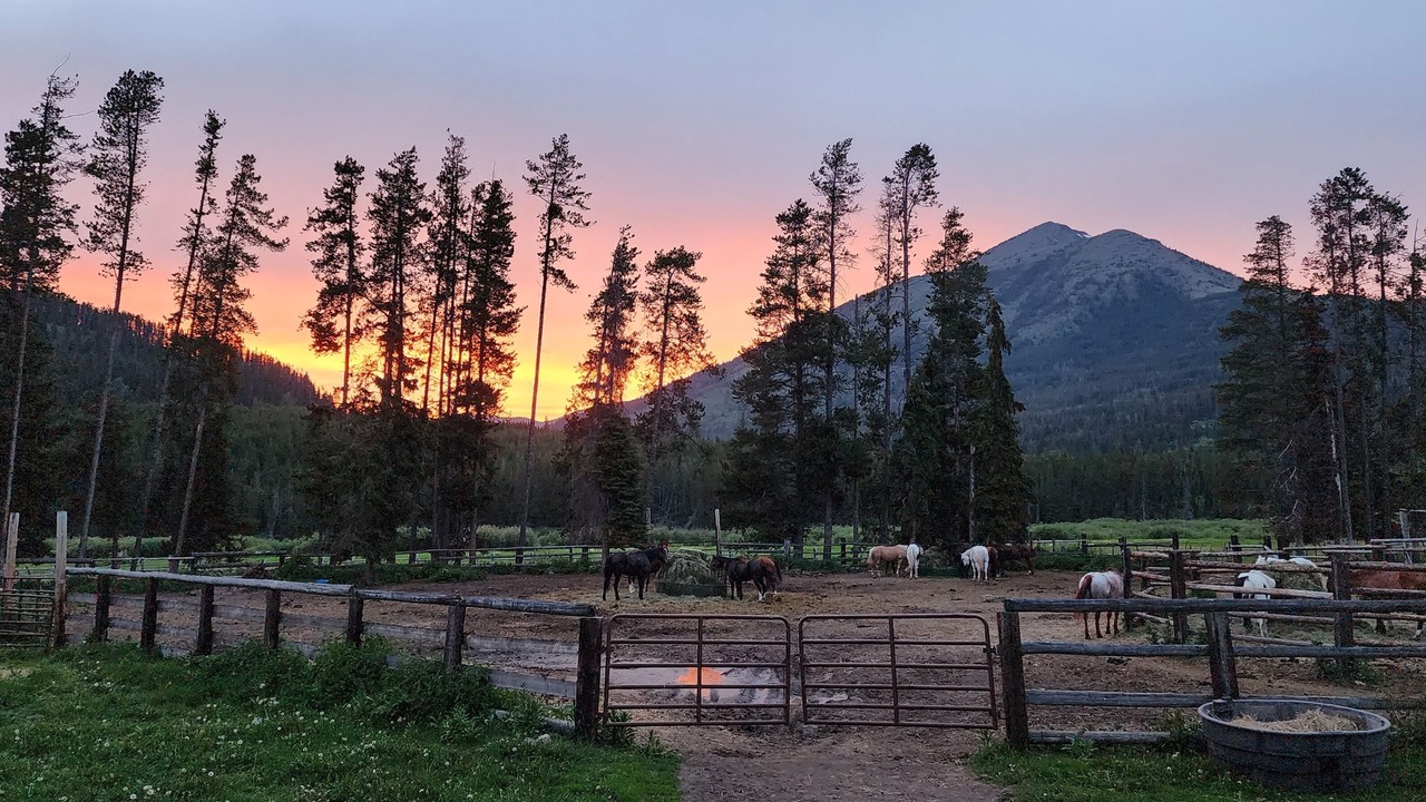 Photo of Outdoor in Blacktail