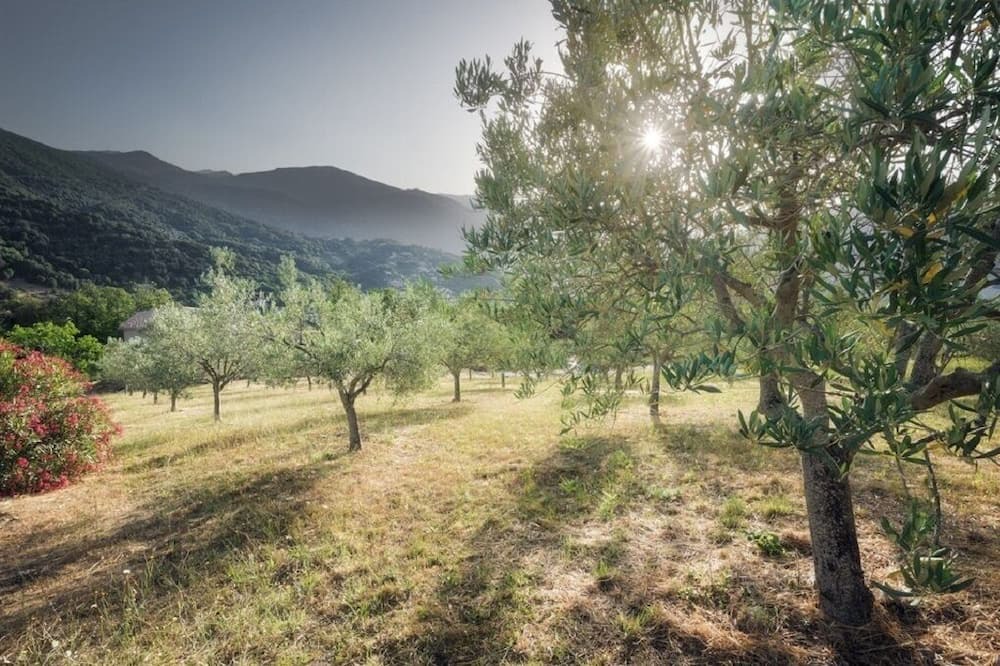 Photo of Outdoor in Vico