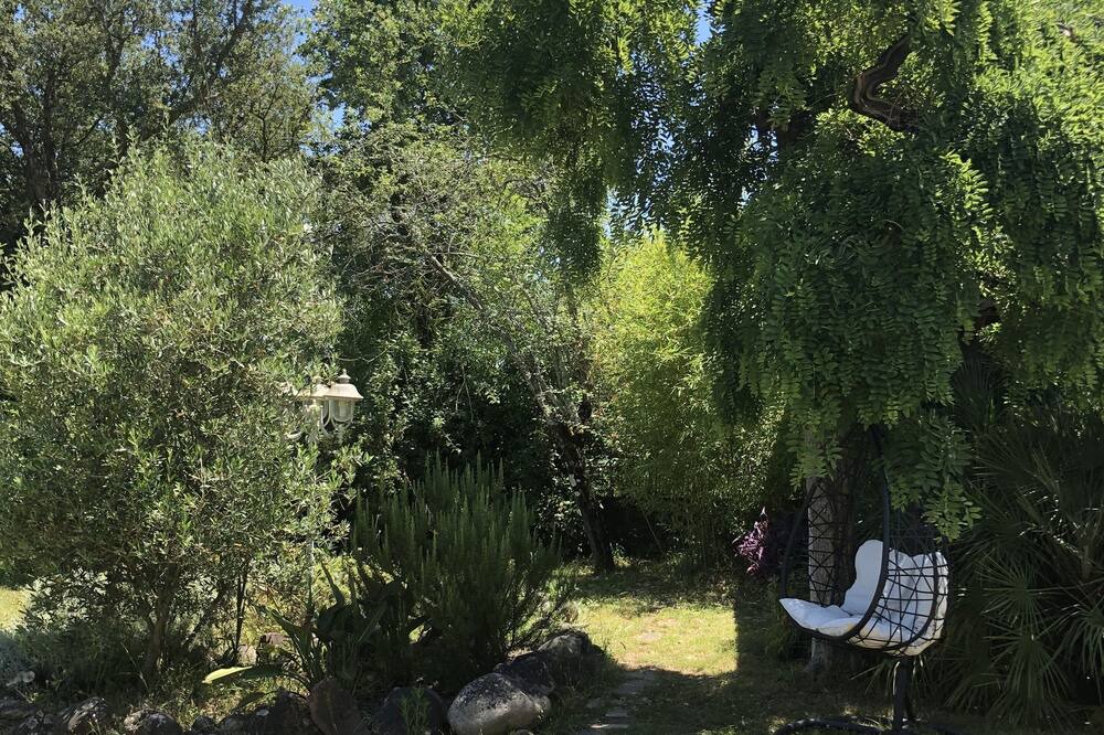 Photo of Outdoor in Prunelli-di-Fiumorbo