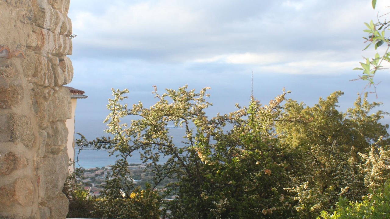 Photo of Outdoor in Monticello
