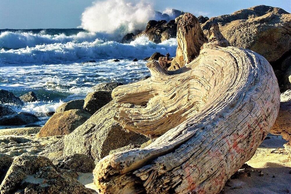 Photo of Others in Marine de Davia