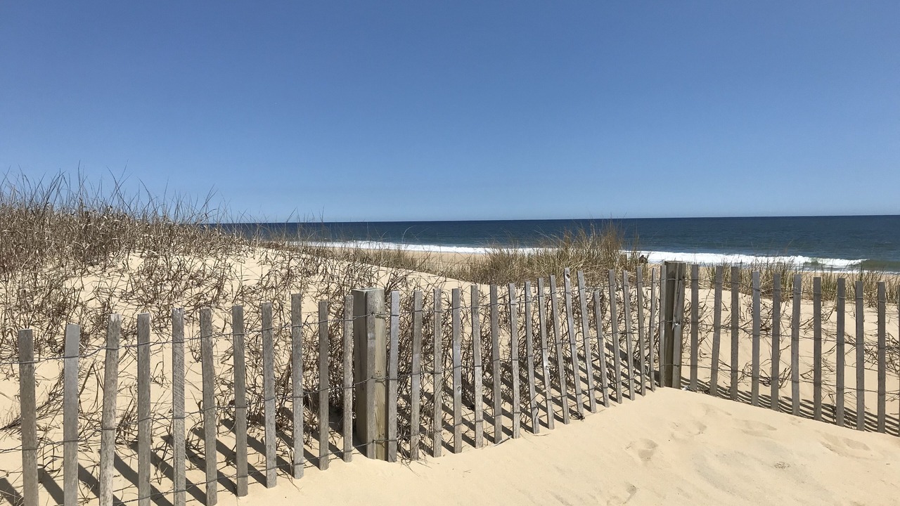 Photo of Others in Midtown Ocean City