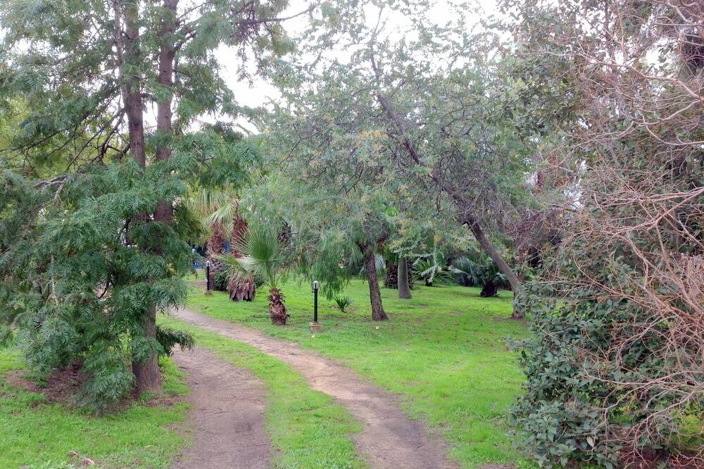 Photo of Outdoor in Lumio