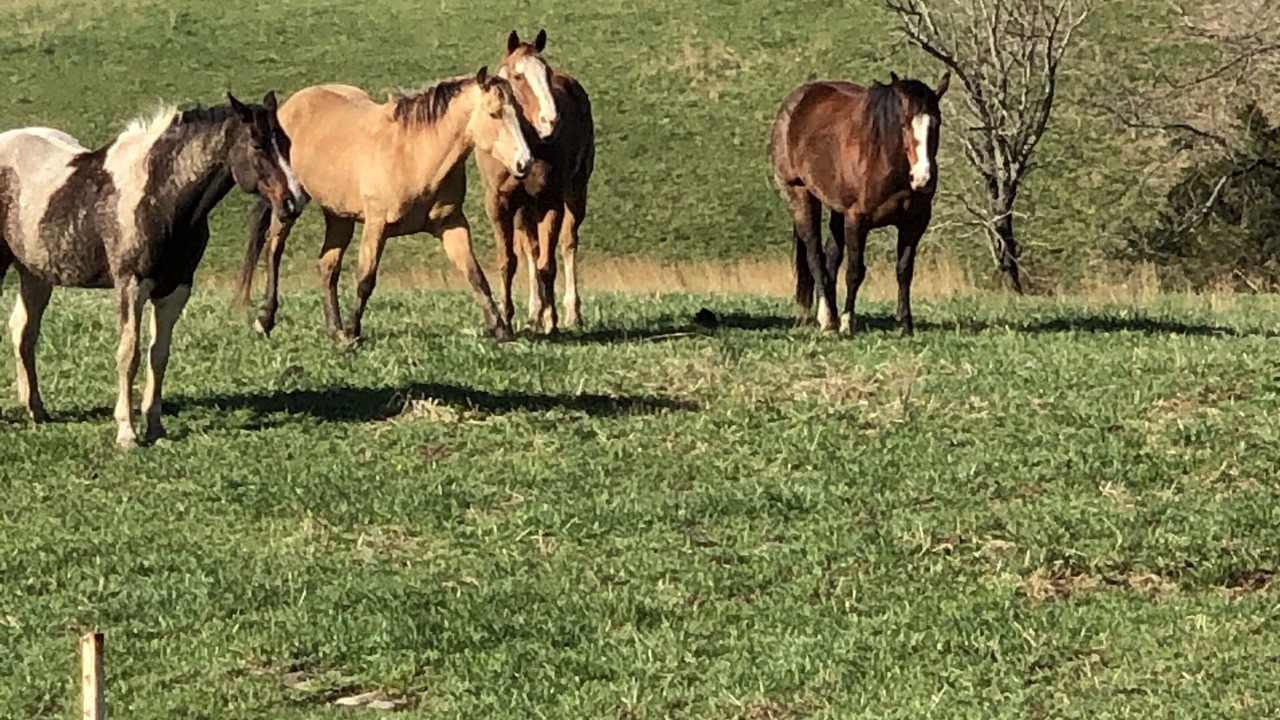 Photo of Outdoor in Berry