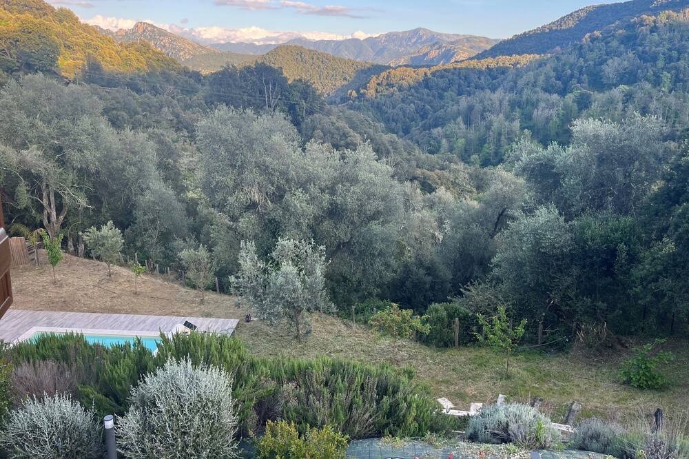 Photo of Outdoor in Arbori