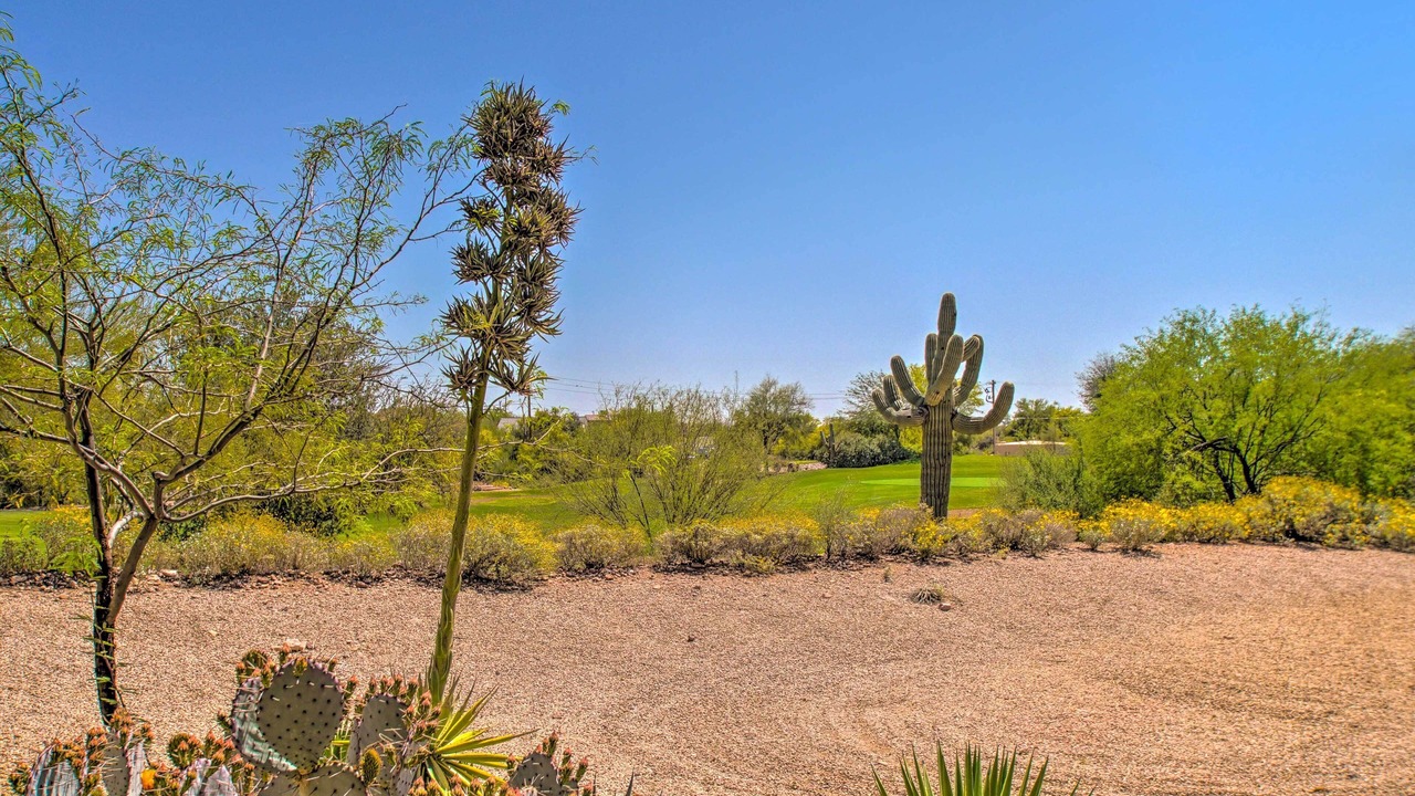 Photo of Outdoor in Gold Canyon