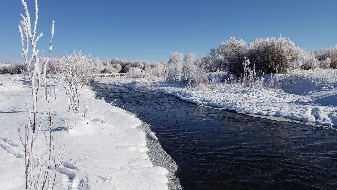 Photo of Outdoor in Beaver