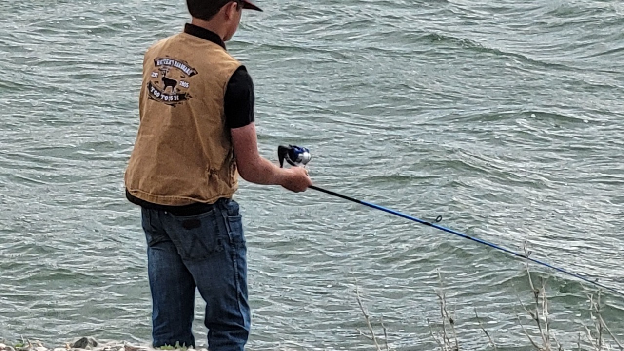 Photo of Others in Beaver