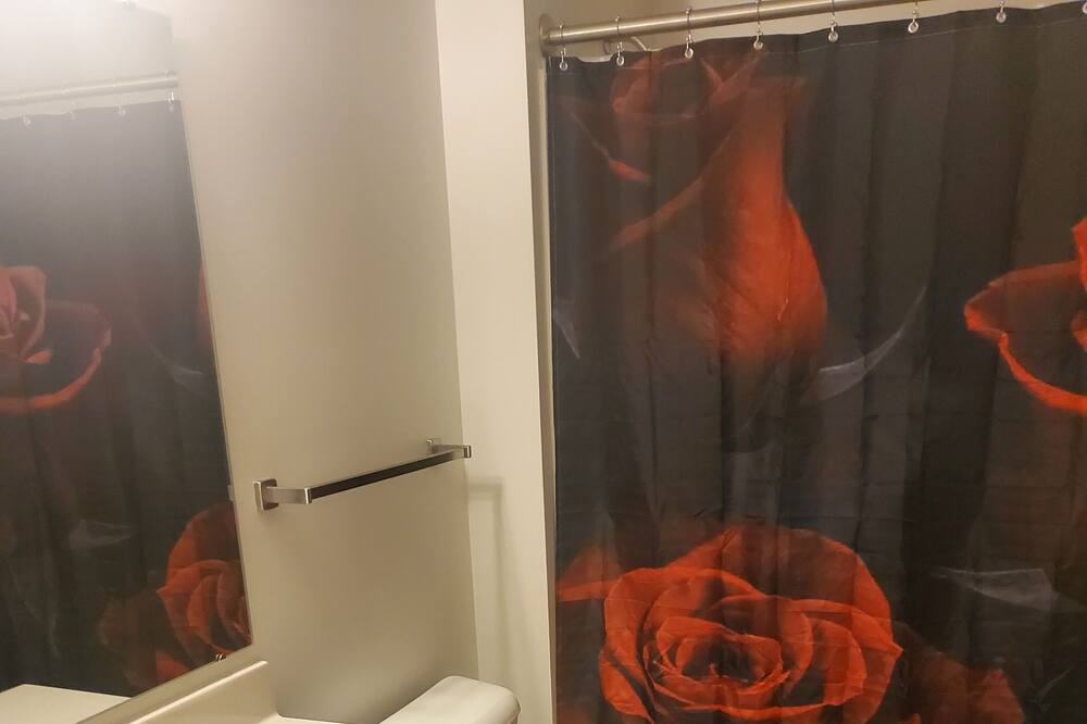 Photo of Bathroom in Downtown Toledo