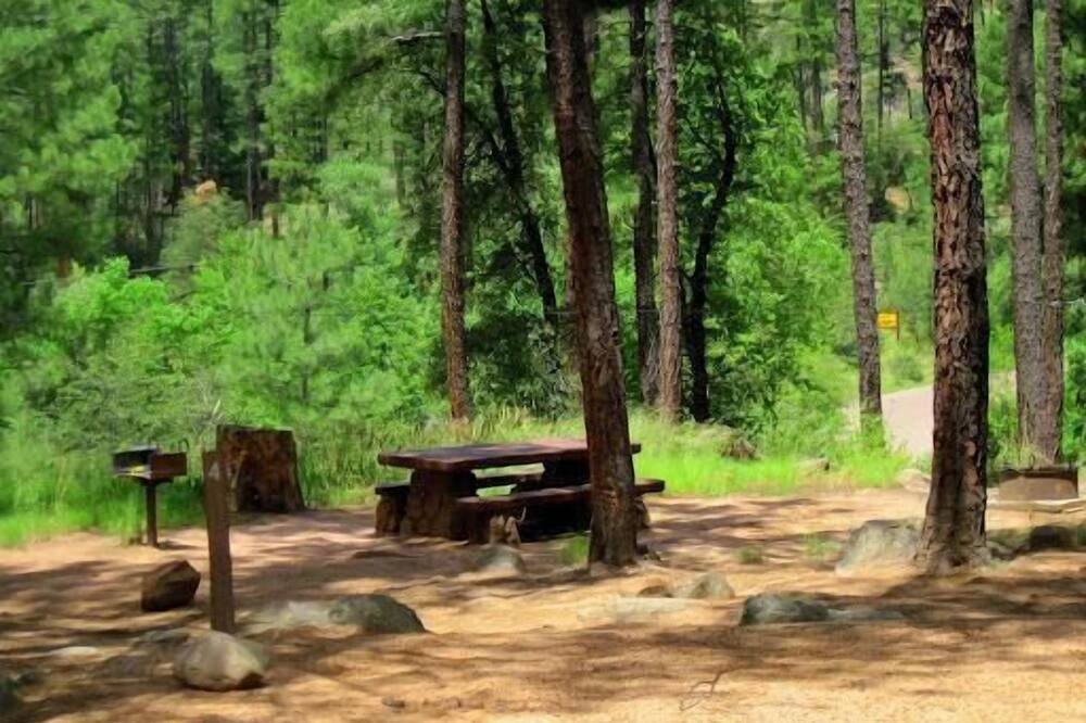 Photo of Others in Kohls Ranch
