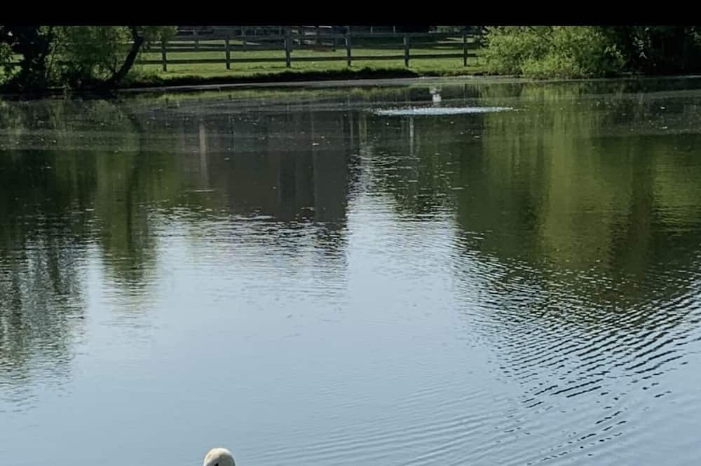 Photo of Outdoor in Otterbien Home