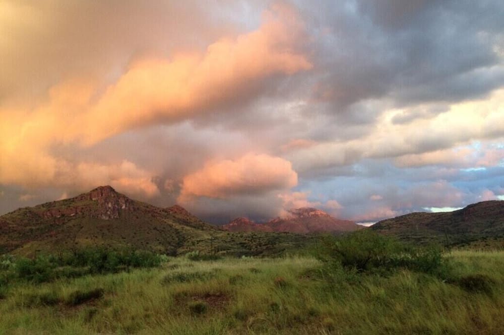 Photo of Others in Mule Creek