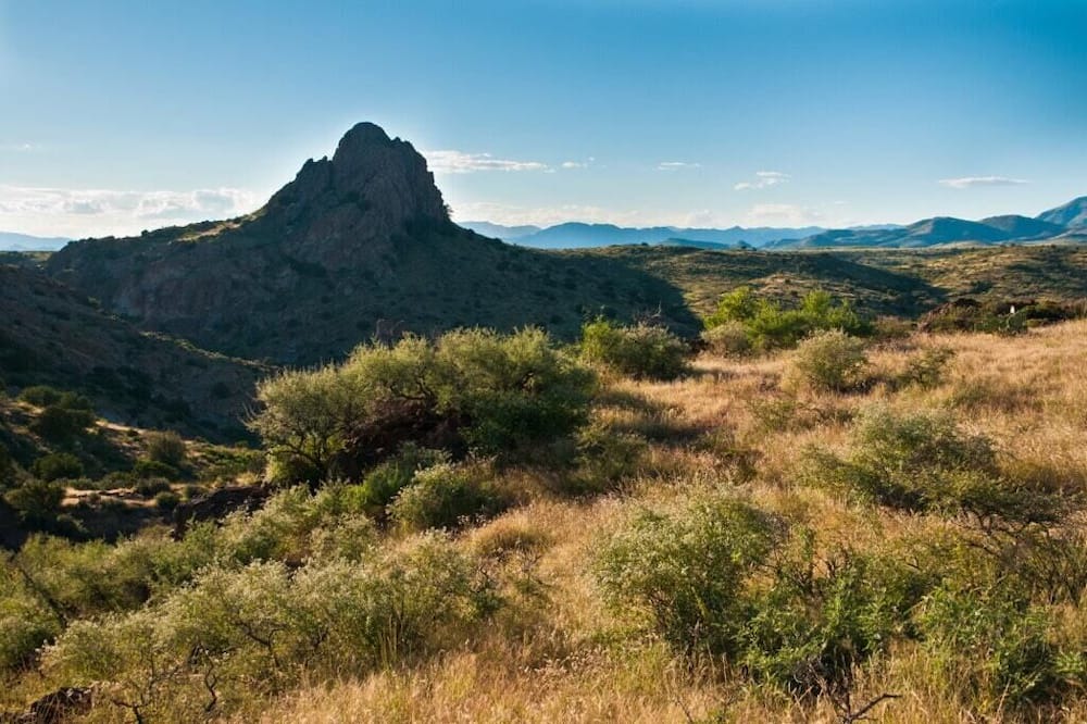Photo of Others in Mule Creek