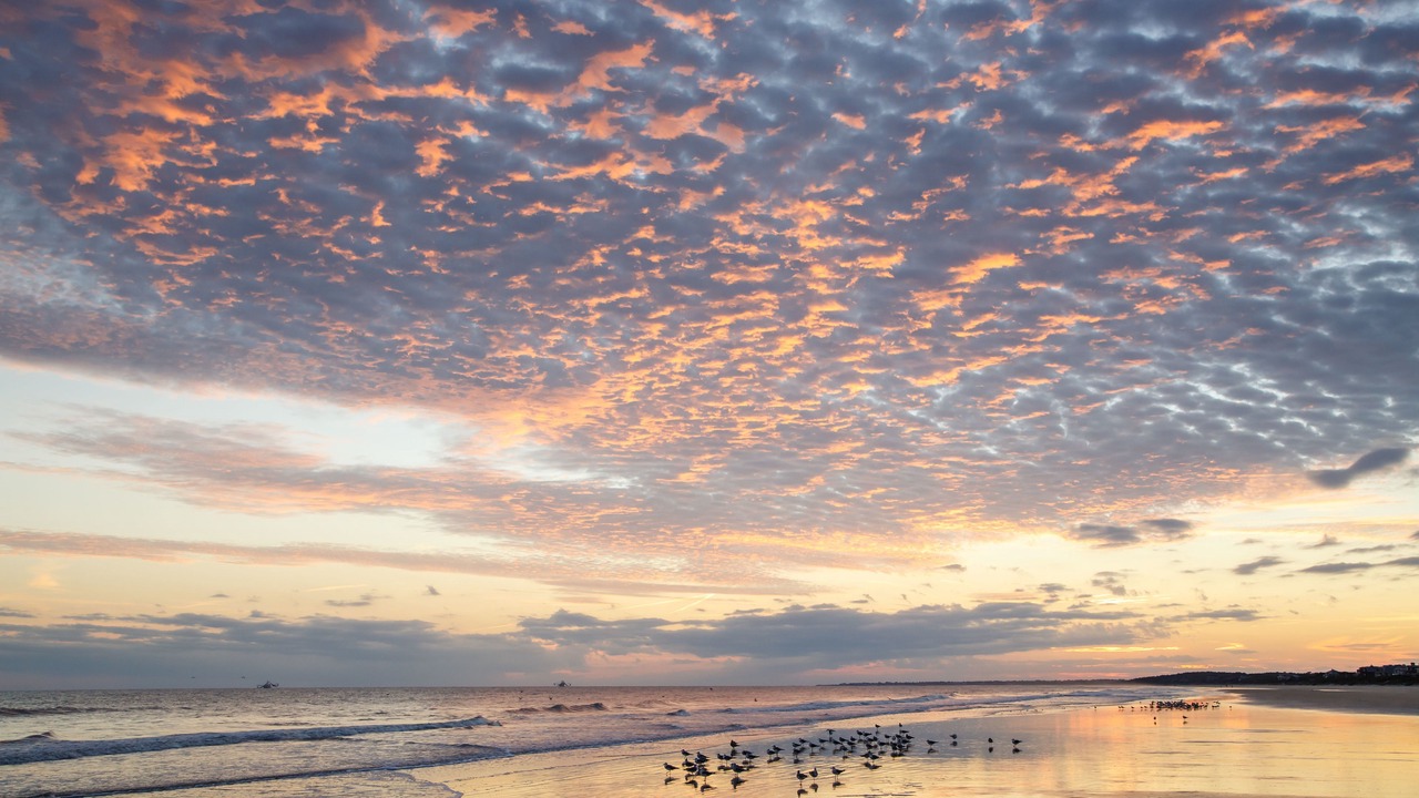 Photo of Others in Kiawah Island