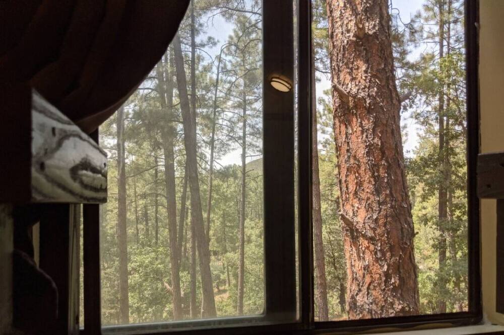 Photo of Others in Prescott