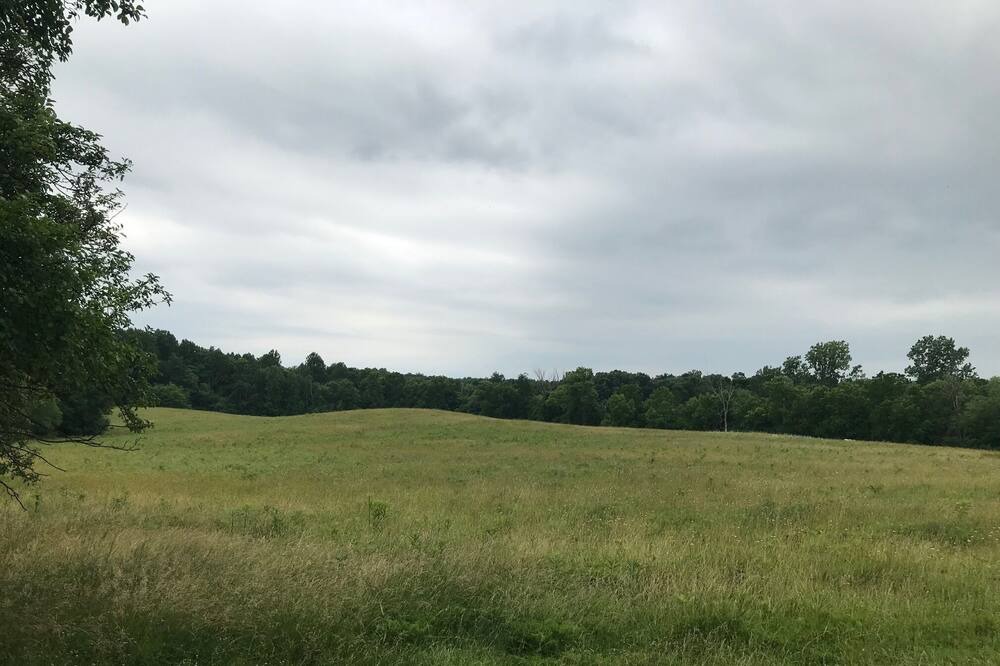 Photo of Outdoor in Mount Liberty