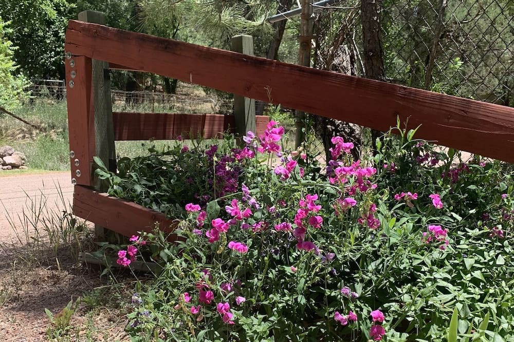 Photo of Others in Kohls Ranch