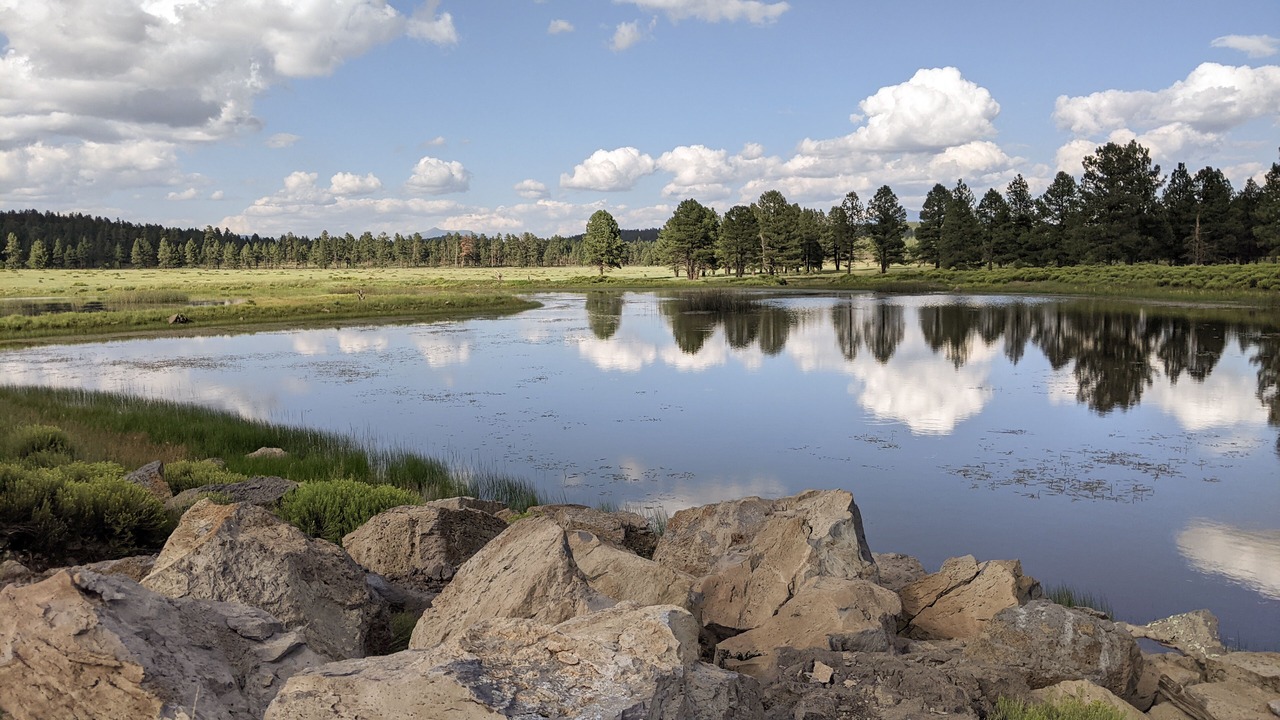 Photo of Outdoor in Williams