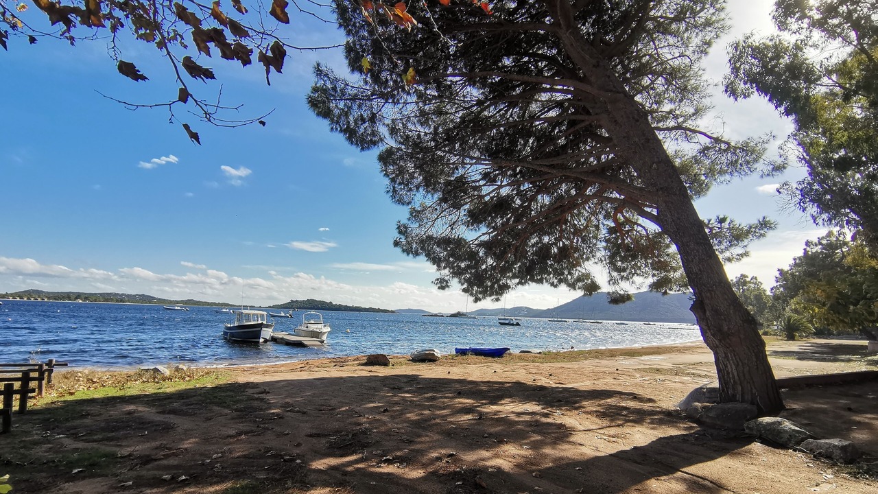 Photo of Others in Porto-Vecchio