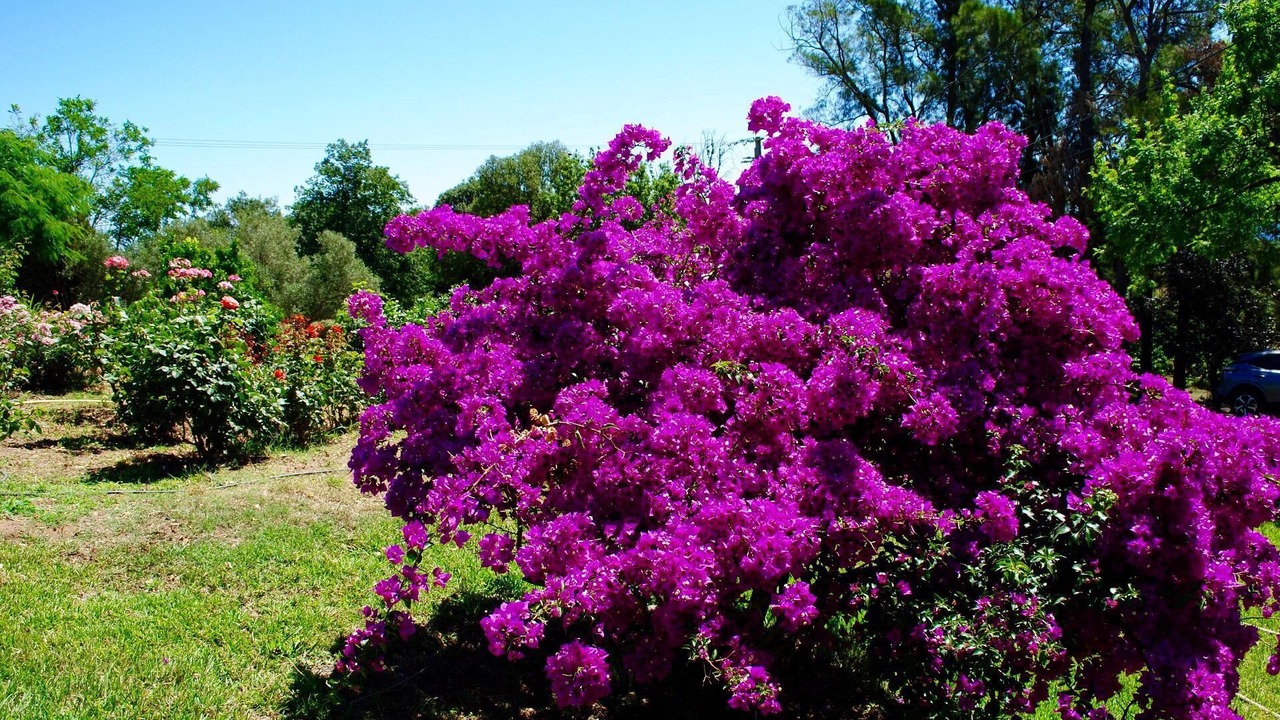 Photo of Outdoor in Cervione