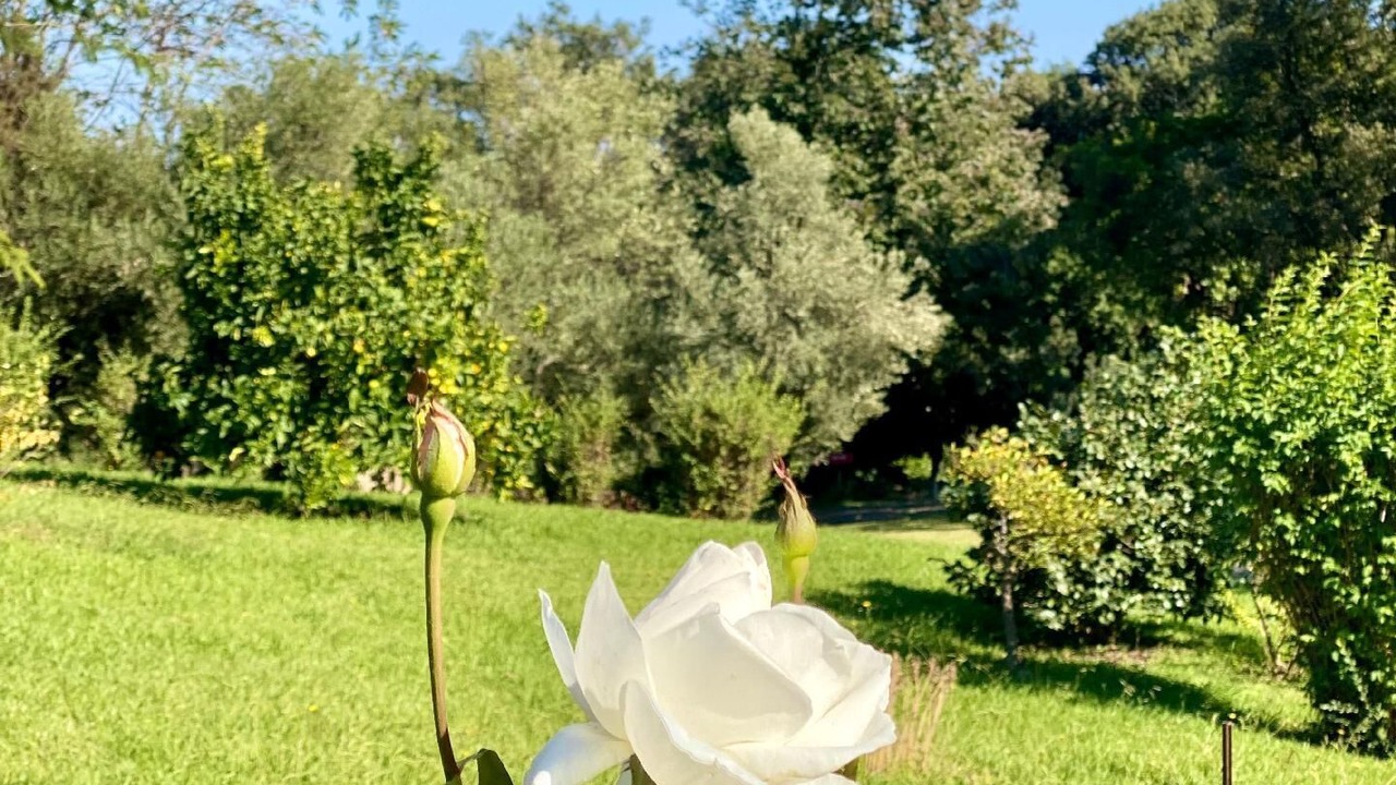 Photo of Outdoor in Cervione
