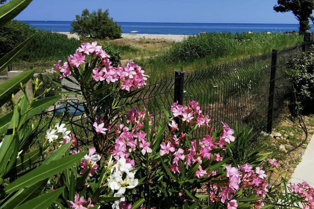 Photo of Outdoor in Bravone