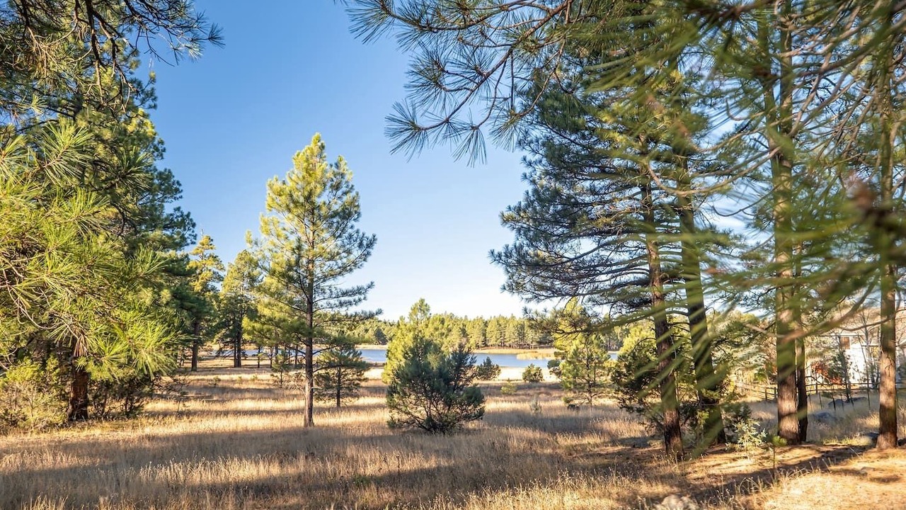 Photo of Outdoor in Munds Park