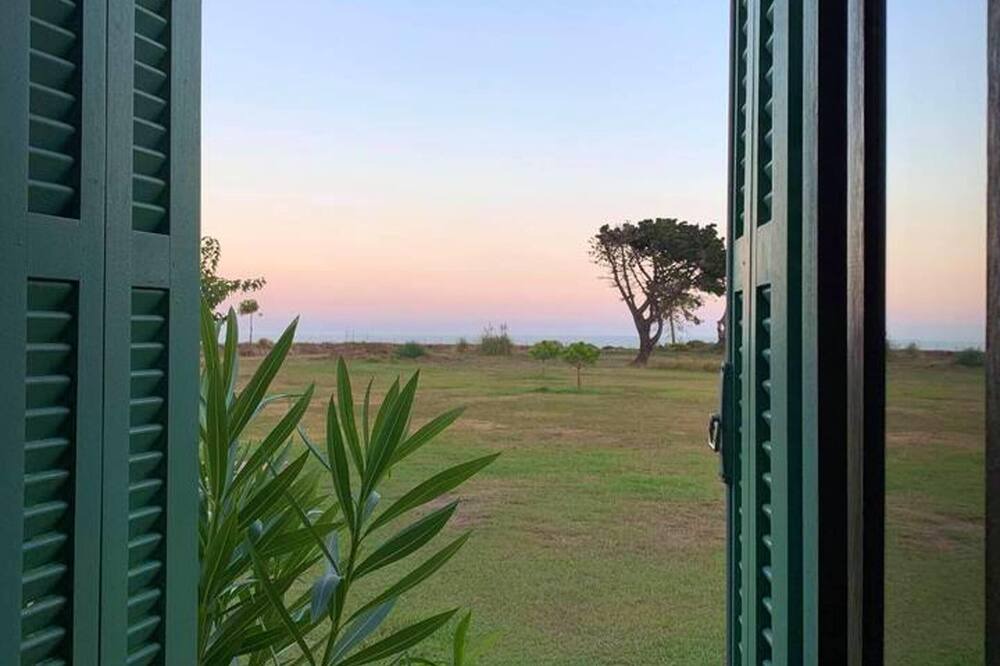 Photo of Outdoor in Poggio-Mezzana