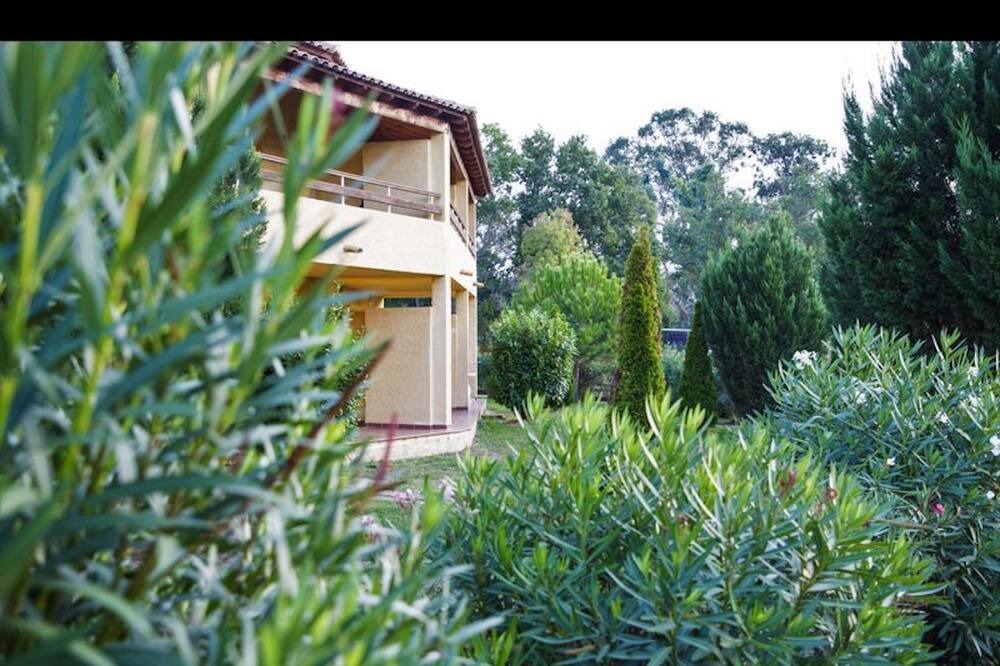 Photo of Outdoor in Ghisonaccia