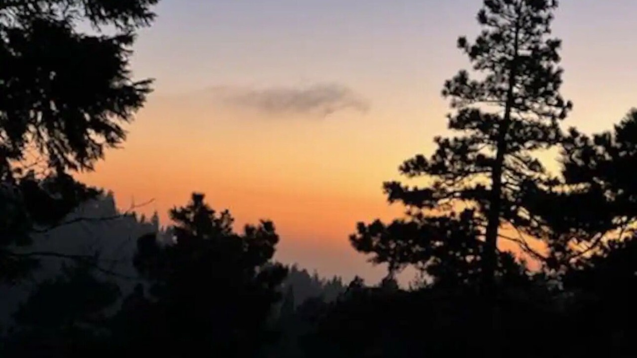 Photo of Outdoor in Cedarpines Park