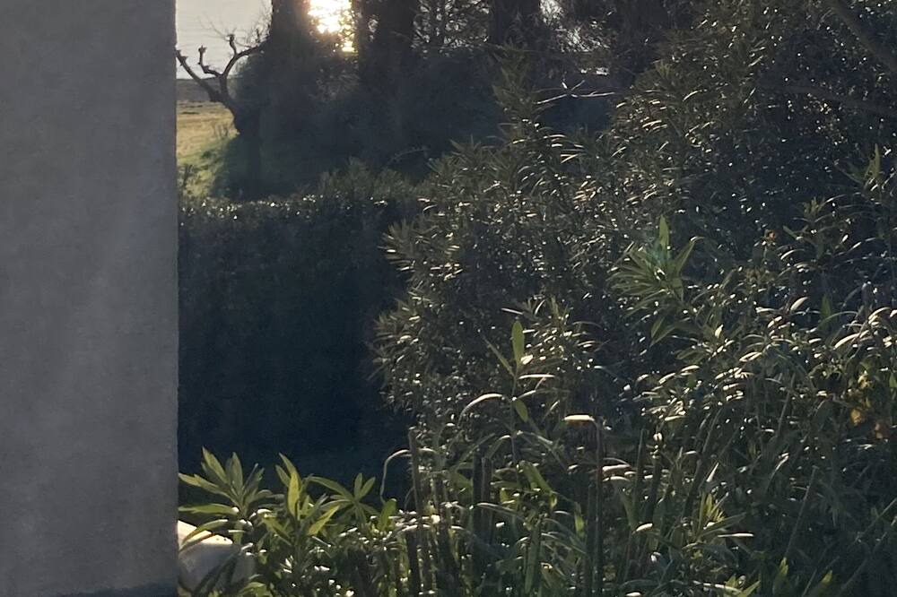 Photo of Outdoor in Casamozza