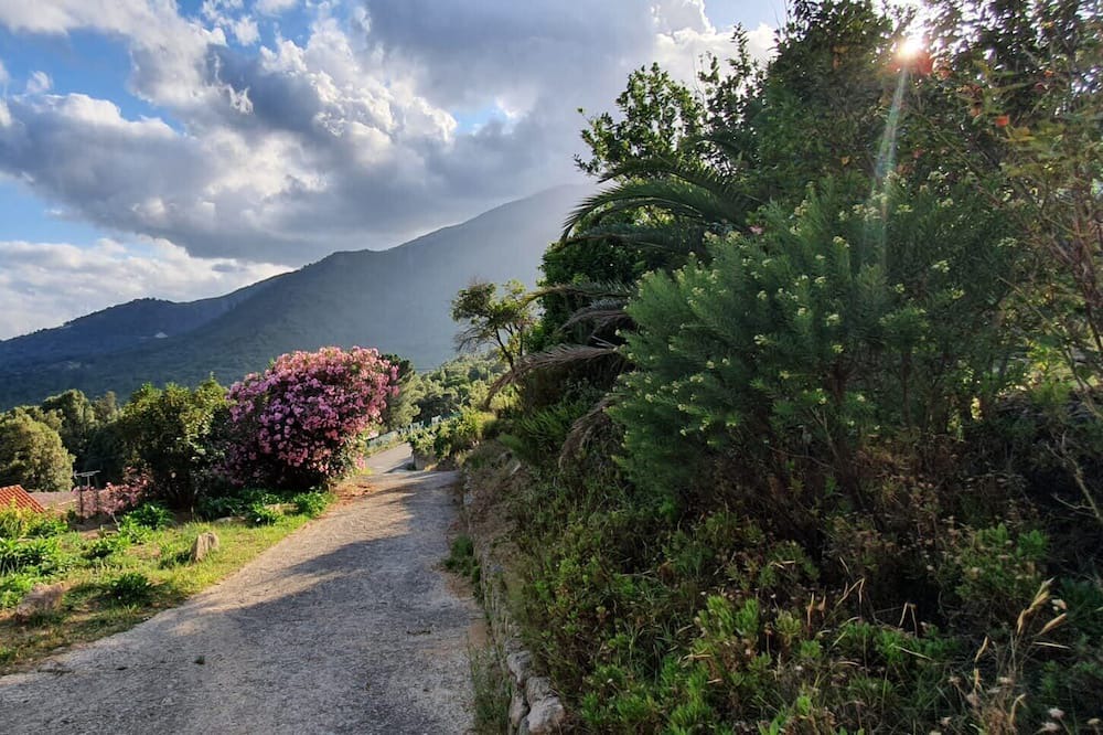 Photo of Outdoor in Vero