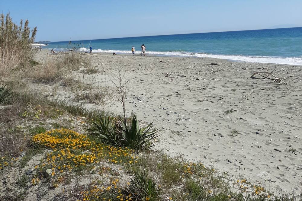 Photo of Others in Moriani-Plage