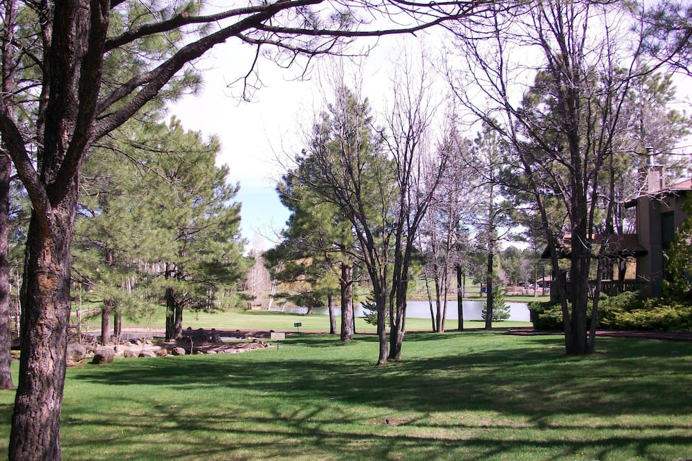 Photo of Outdoor in Pinetop