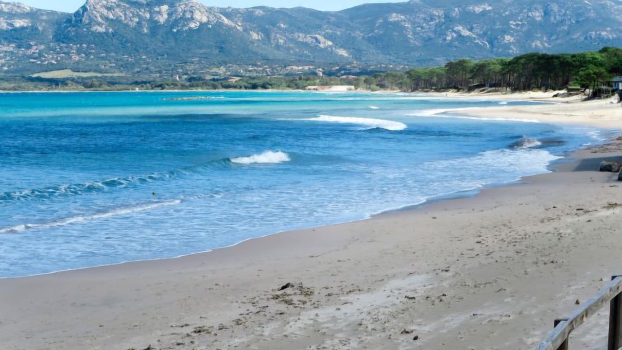 Photo of Others in Calvi