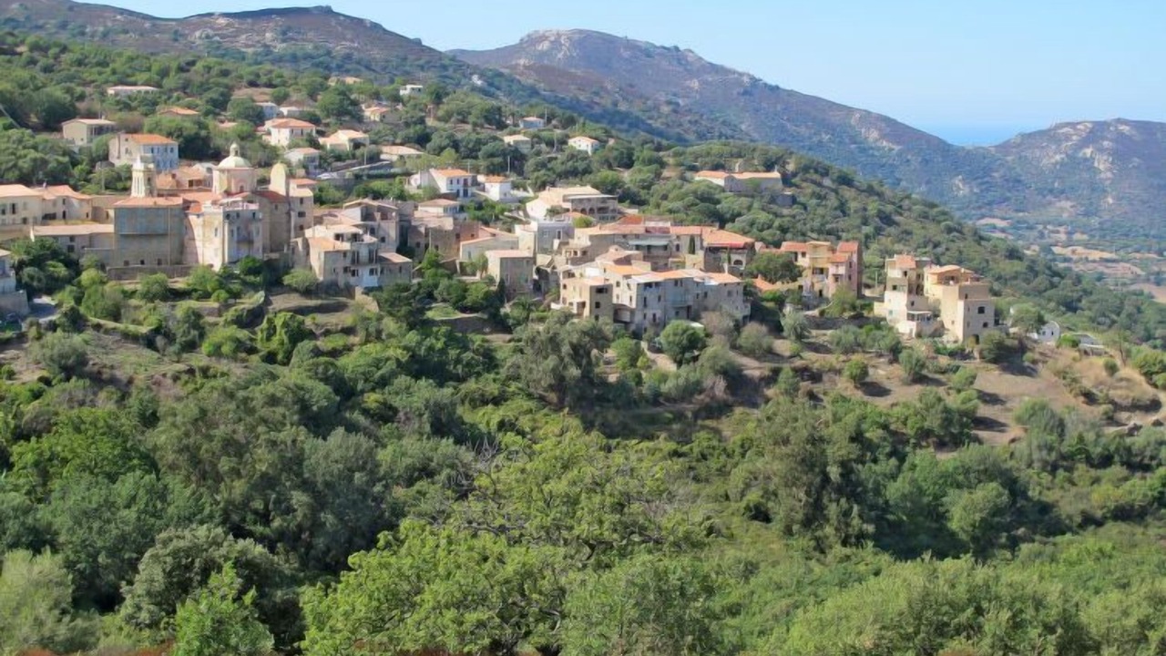Photo of Outdoor in Calvi