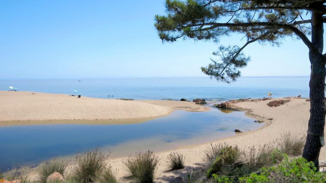 Photo of Outdoor in Pinarellu
