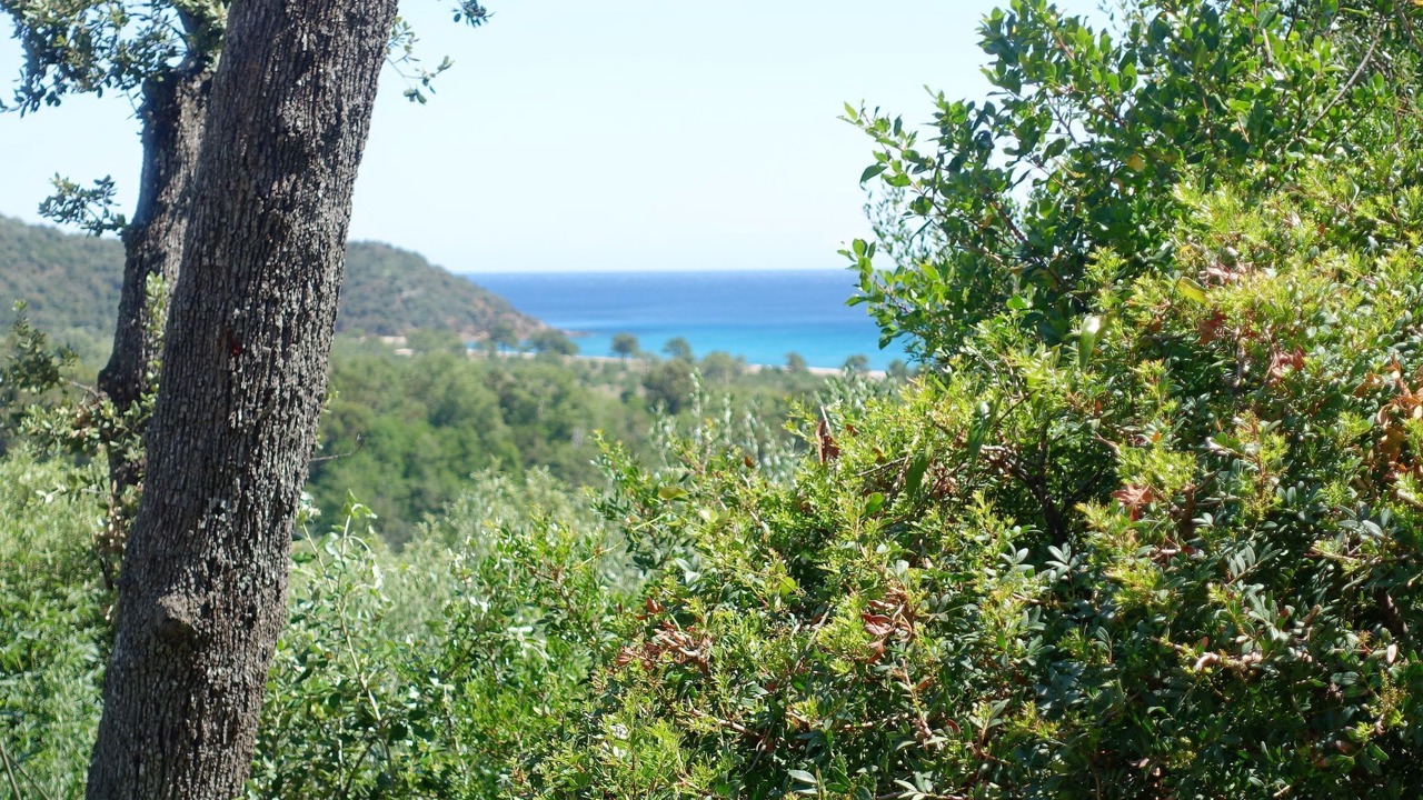 Photo of Others in Pinarellu