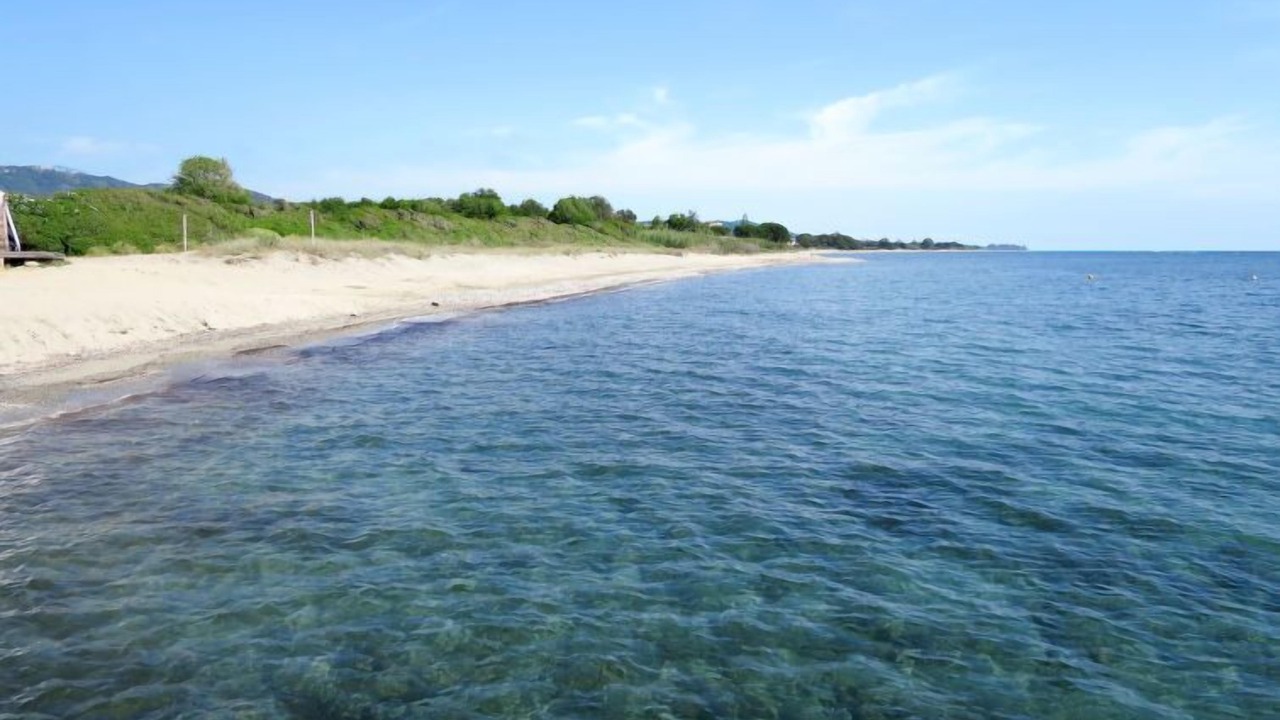 Photo of Others in Santa-Lucia-di-Moriani