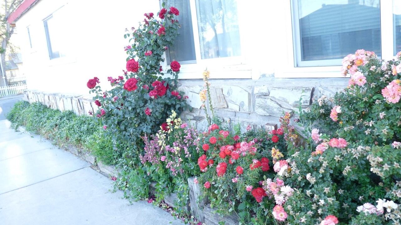 Photo of Outdoor in Seligman