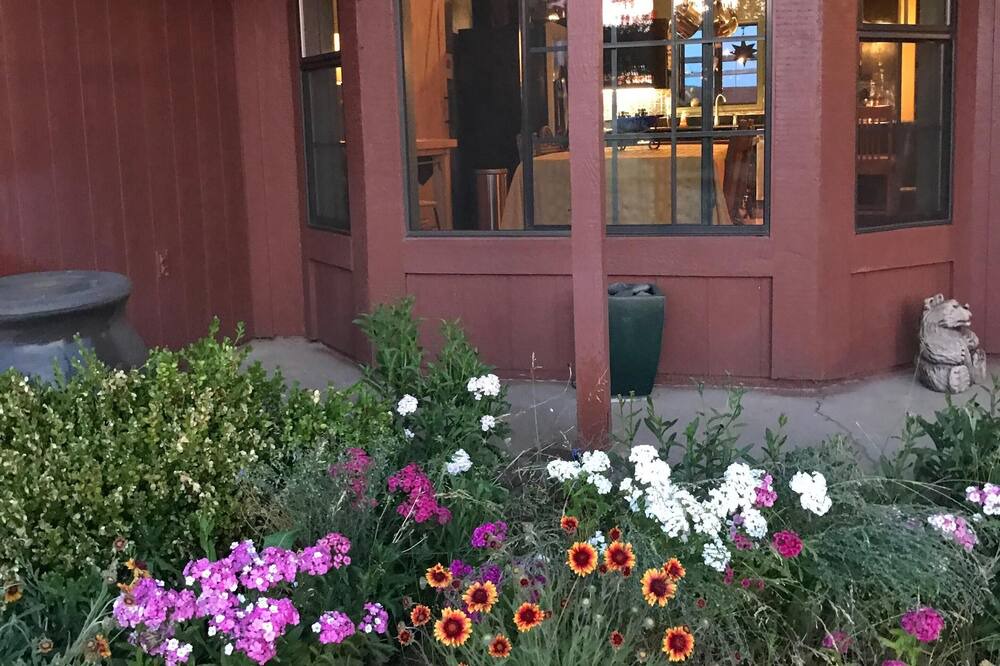 Photo of Outdoor in Flagstaff