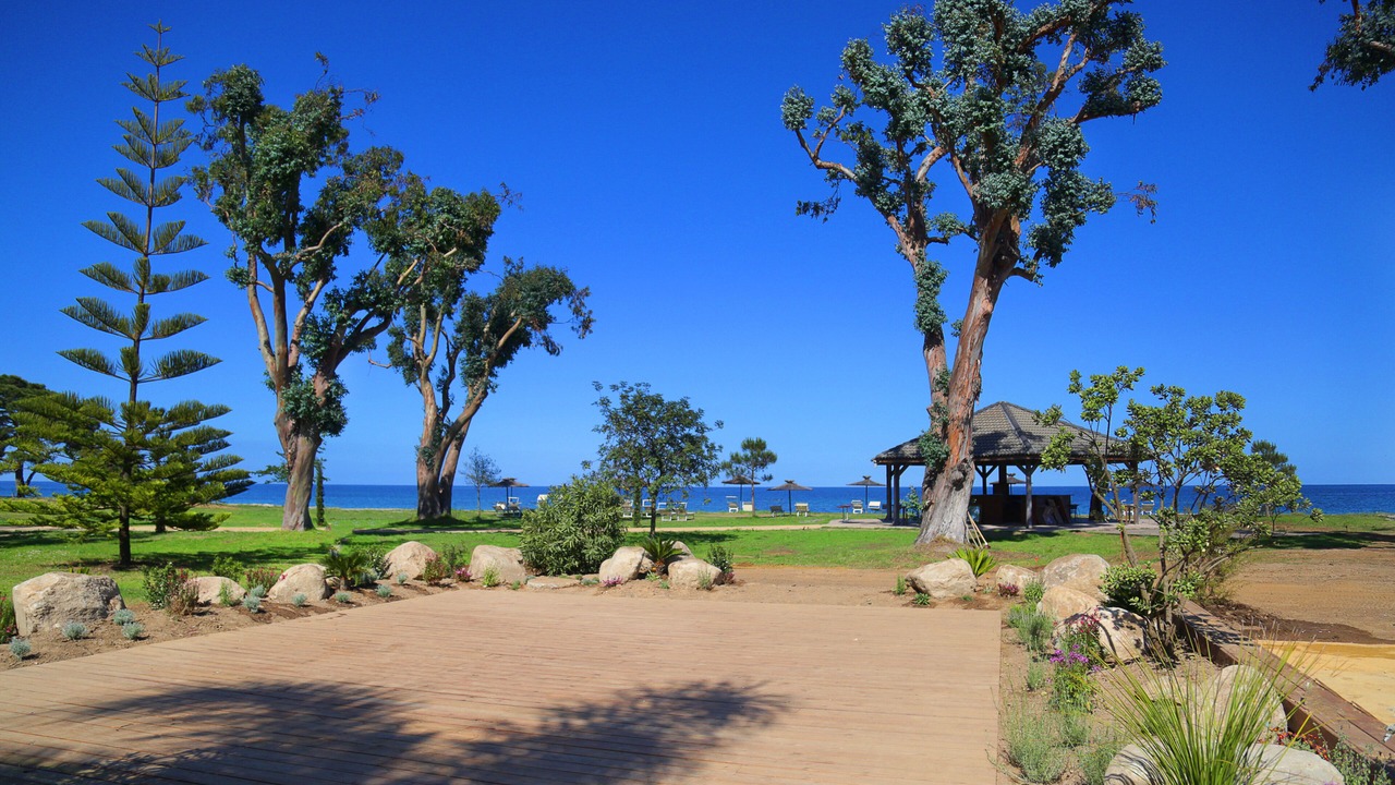 Photo of Outdoor in San-Nicolao